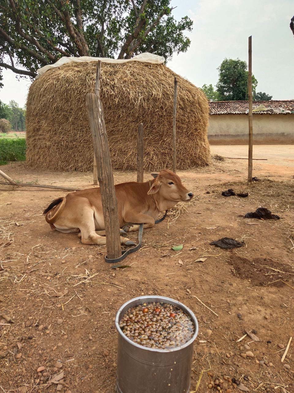 GROUND SCENARIO IN SARANGIJHARIA IN SUNDARGARH (ODISHA) A REFLECTION ON POSSIBILITIES AHEAD